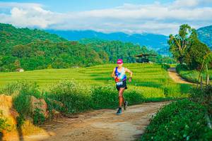 BIB: 
                            <button type="button" onclick="openModal(25042177)" class="btn btn-primary btn-sm float-right btn-popup" data-toggle="modal" data-target=".modal-high-quality">
                        <i class="fas fa-shopping-cart"></i> Add to Cart
                    </button>
                                            <button type="button" onclick="isThisMe(25042177, true)" class="btn btn-success btn-sm float-right btn-popup btn-isme hidden" data-toggle="tooltip" data-placement="bottom" title="นี่คือรูปของคุณใช่ไหม คลิกที่นี่เพื่อเอาเข้าอัลบั้ม">
                        <i class="fas fa-plus"></i> Add to album
                    </button>
                    <button type="button" onclick="isThisMe(25042177, false)" class="btn btn-warning btn-sm float-right btn-popup btn-isnotme hidden">
                        <i class="fas fa-ban"></i> Remove from album
                    </button>